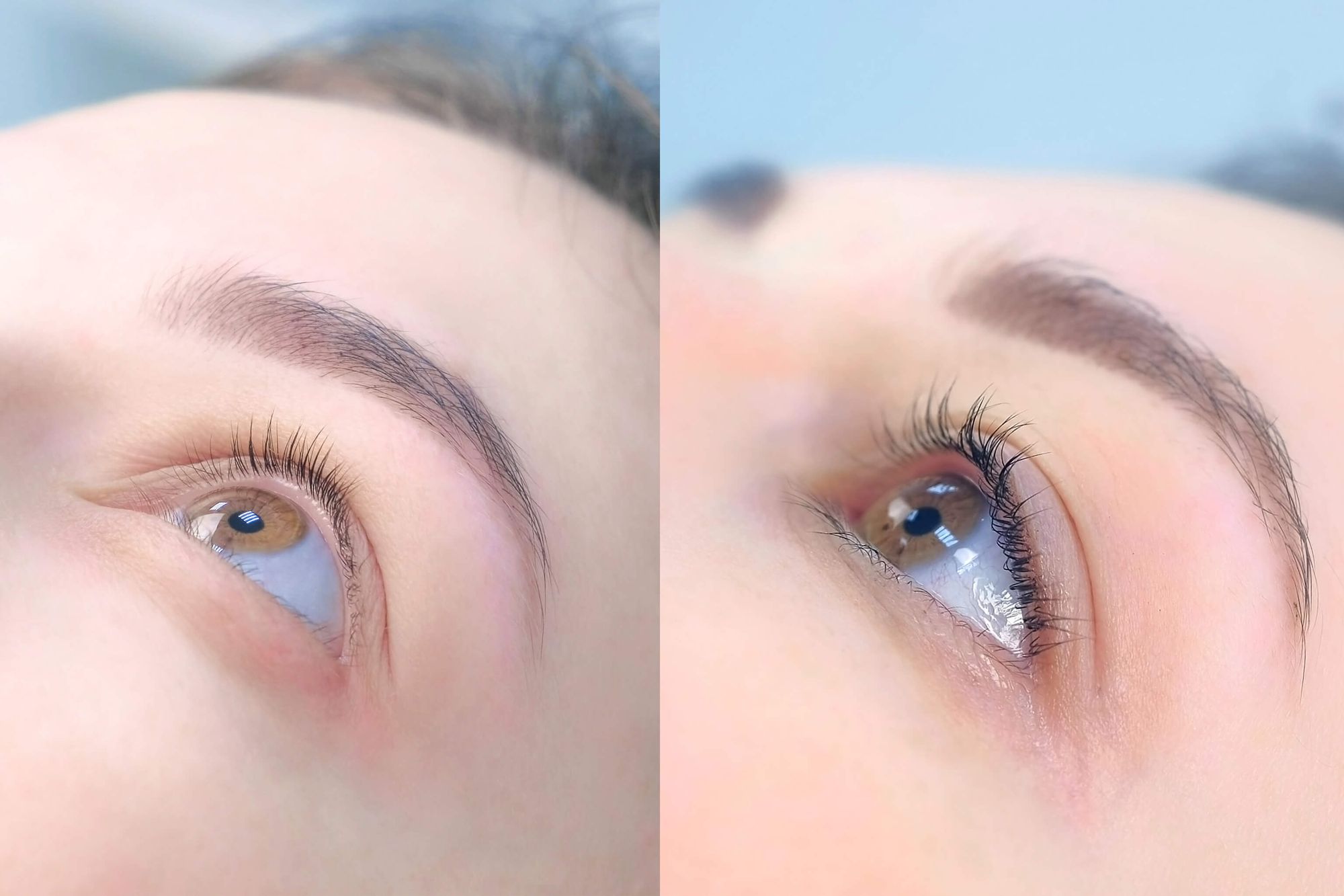 LASH LIFT